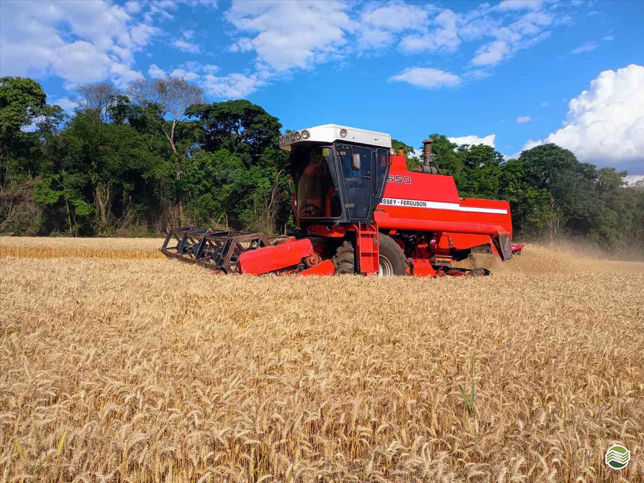 COLHEITADEIRA MASSEY FERGUSON MF 5650 Paulo Mokan Compra E Venda De Máquinas Usadas IJUI RIO GRANDE DO SUL RS